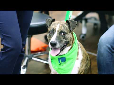 基廷：生命的新束缚