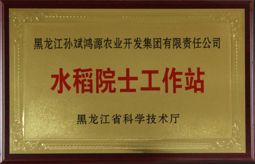 水稻院士工作站（黑龙江省科学技术厅）