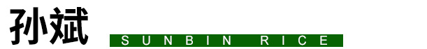 孙斌 孙斌