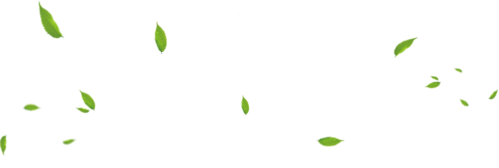 孙斌鸿源原生态绿色食品