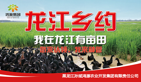 我在龙江有亩田