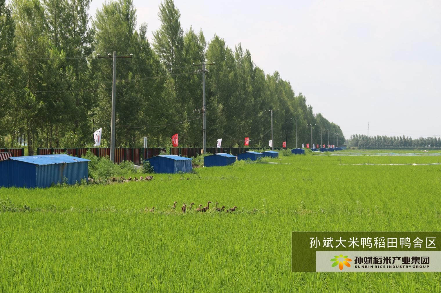 厂区厂貌 厂区厂貌