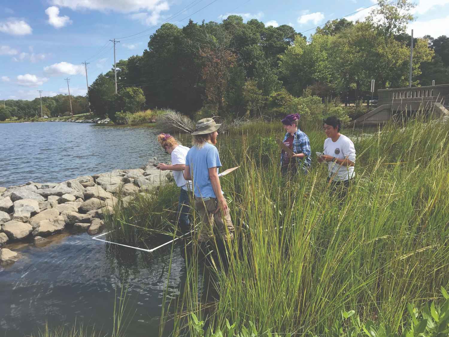 Four people st和 in tall grass near the edge of a body of water, using scientific equipment to take measurements or samples.