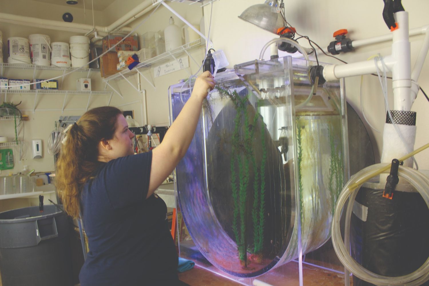 A person is adjusting equipment inside a large aquarium tank in a room filled with pipes, hoses, and containers.