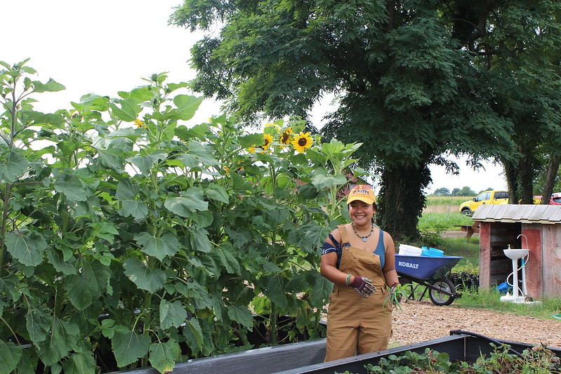 A person wearing brown overalls and a cap stands and smiles beside tall plants and sunflowers in a garden, with a wheelbarrow and trees in the background.