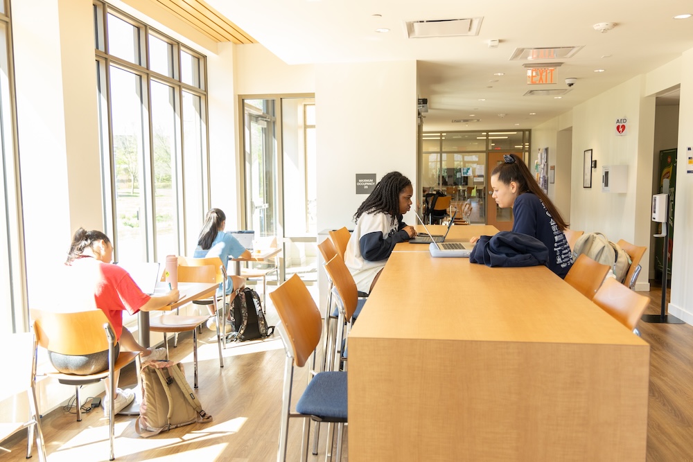 Several students work and study at tables in a bright, modern common area with large windows and natural light.