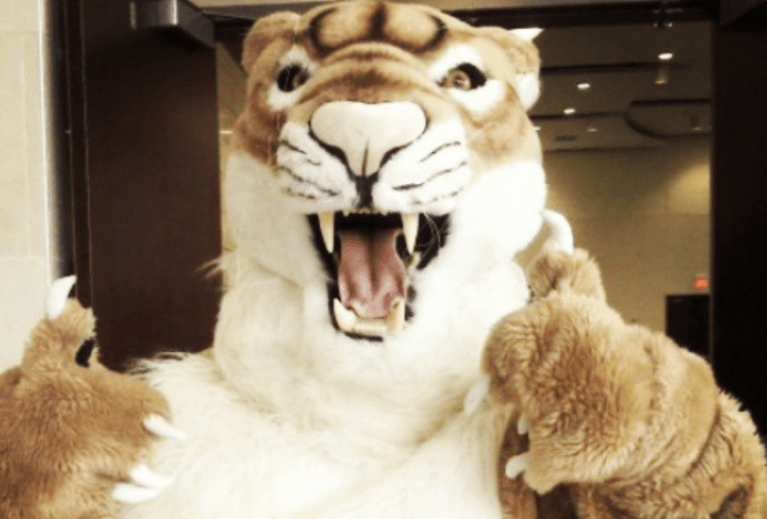 Image of 皇冠体育美洲狮 holding up two thumbs-ups.