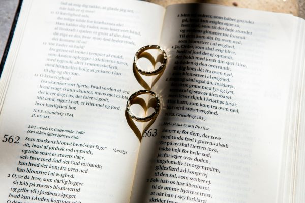 pexels-reneterp pexels-reneterp